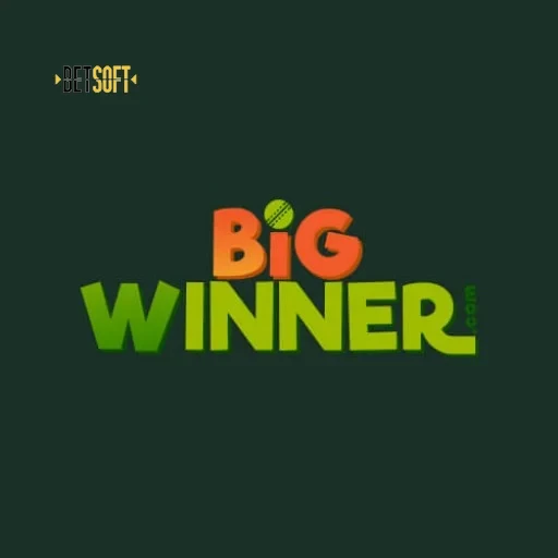 bigwinner